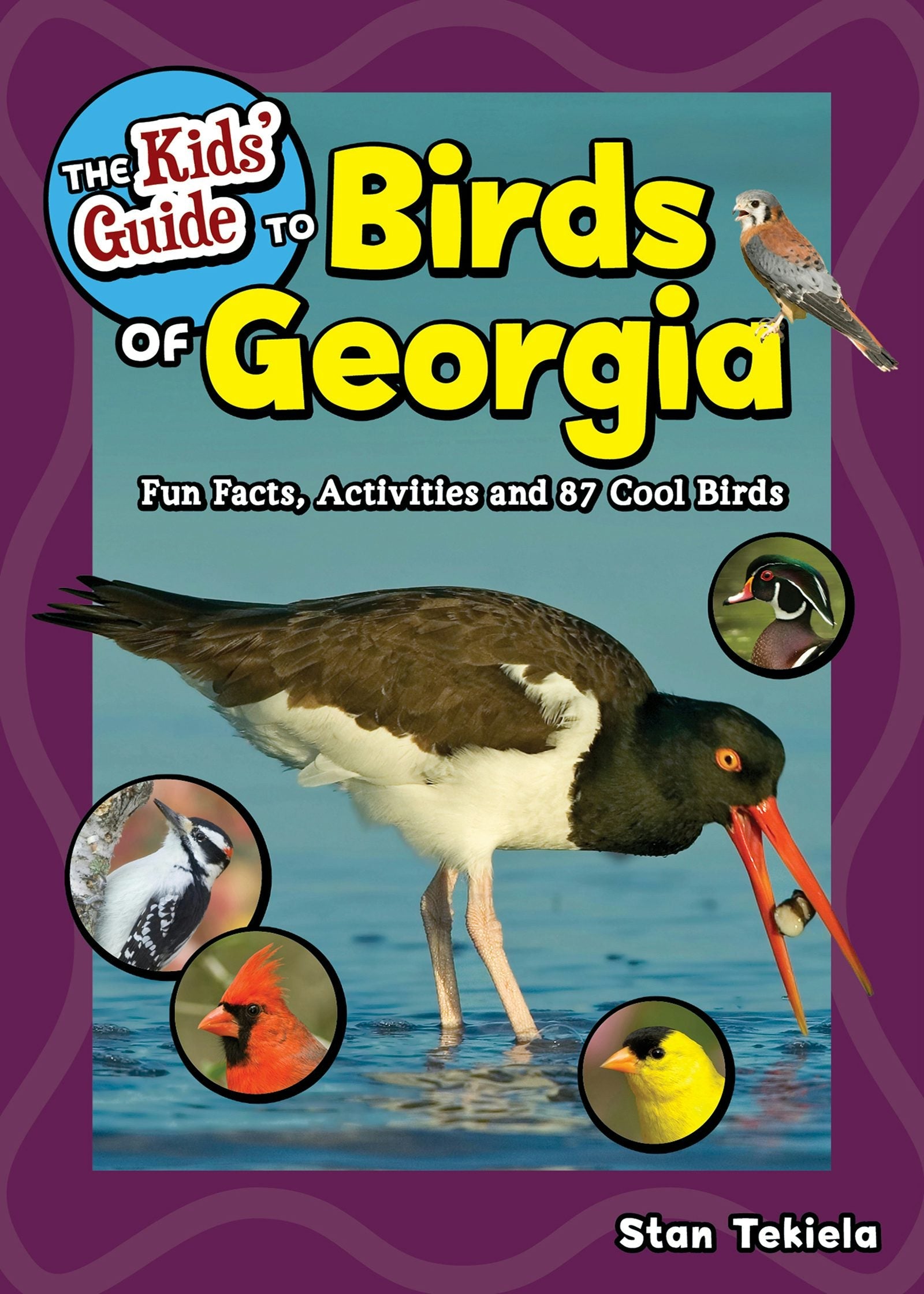 Book cover image for The Kids' Guide to Birds of Georgia ISBN: 9781591939634